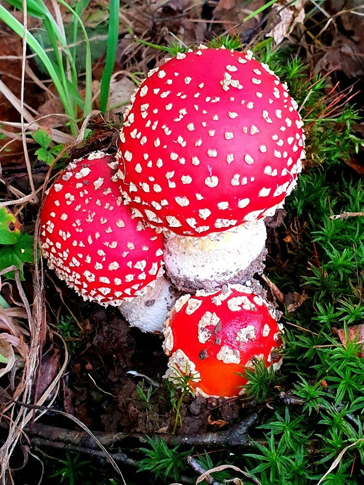 Photograph by Яна