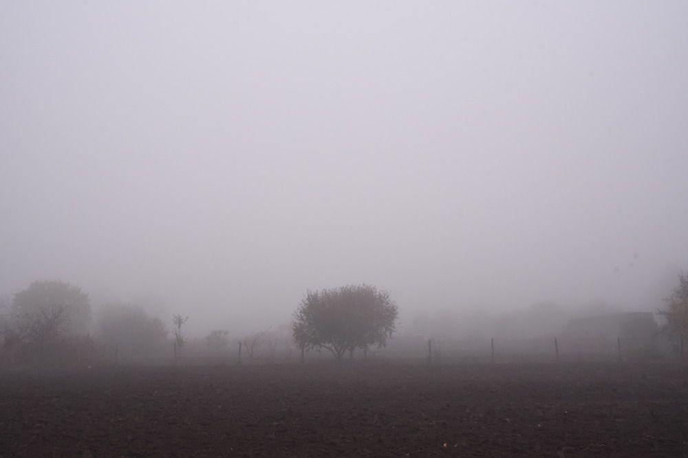 Photograph by Ада