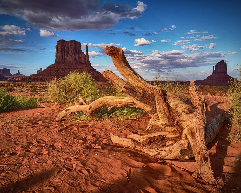 Photograph by Ксения Рыбцова