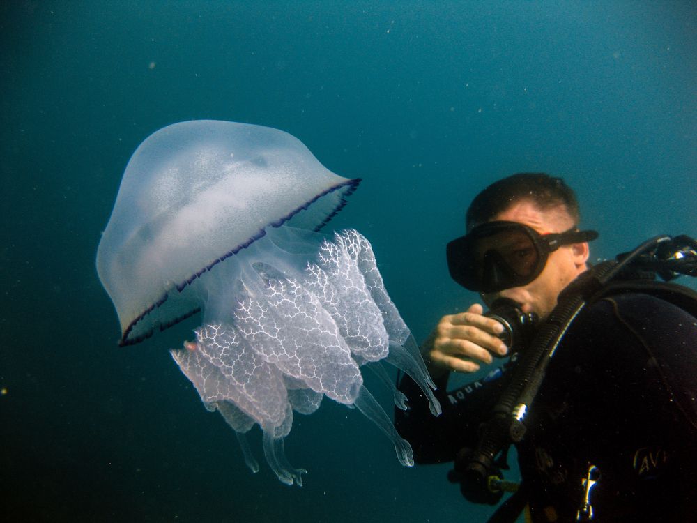 Photograph by Константин Осипов