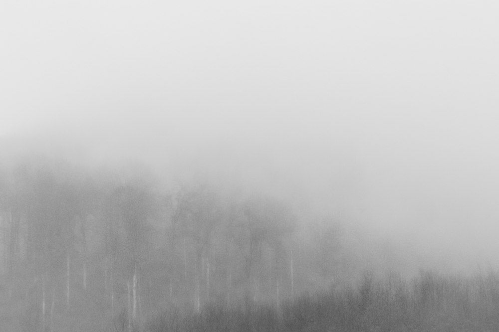 Фотография автора Dubb Tamara