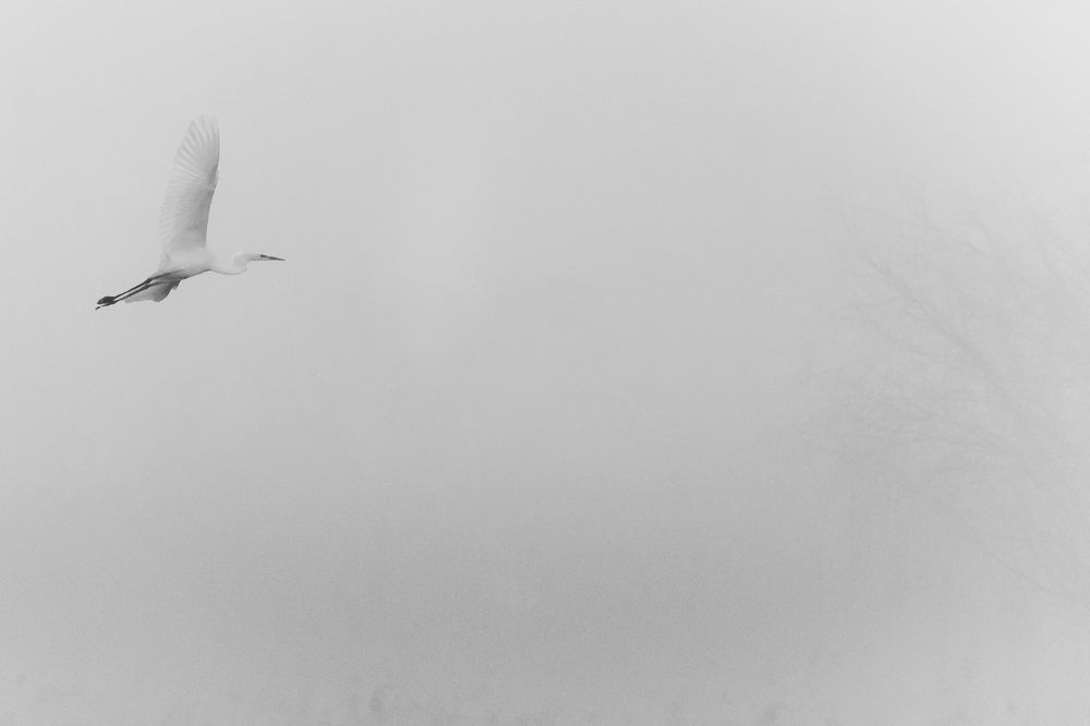 Фотография автора Dubb Tamara