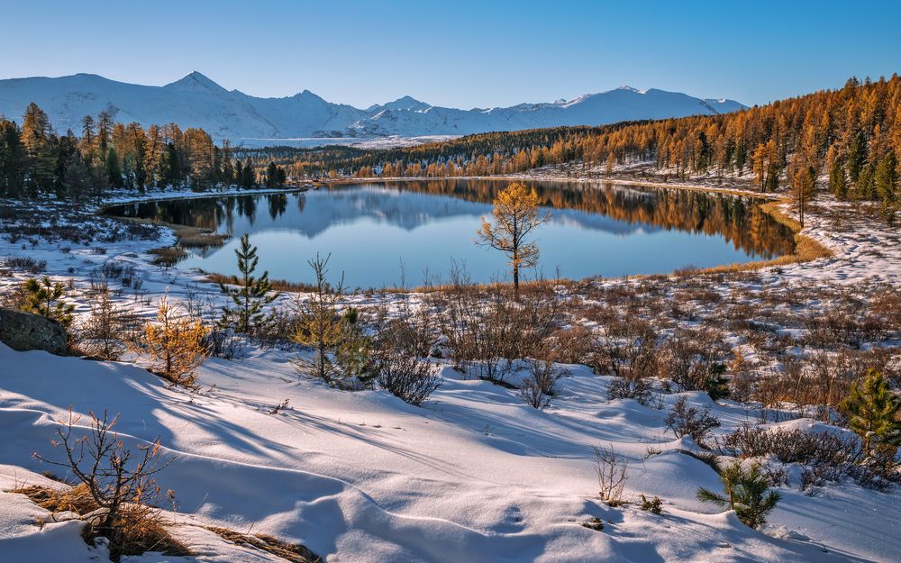 Солнечное утро ....