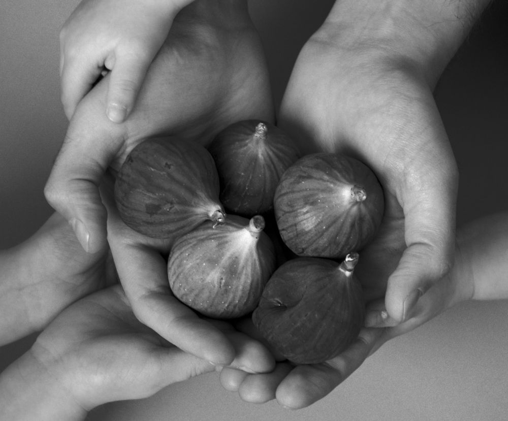 Photograph by Елена