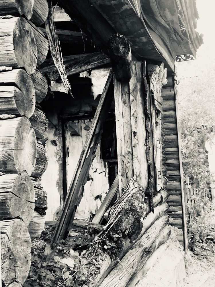 Photograph by Григорий Лыжин