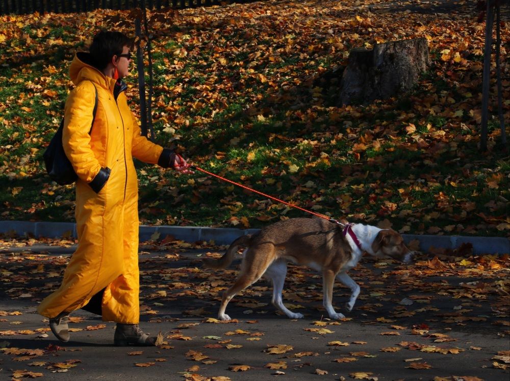 Photograph by Maria Golovach