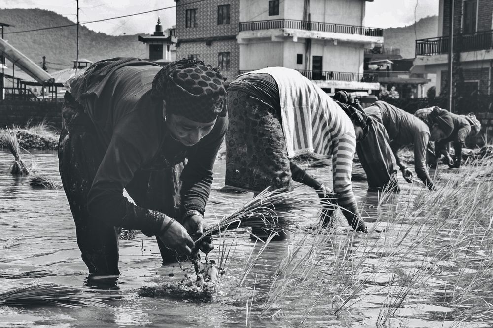 Photograph by Rajan Adhikari