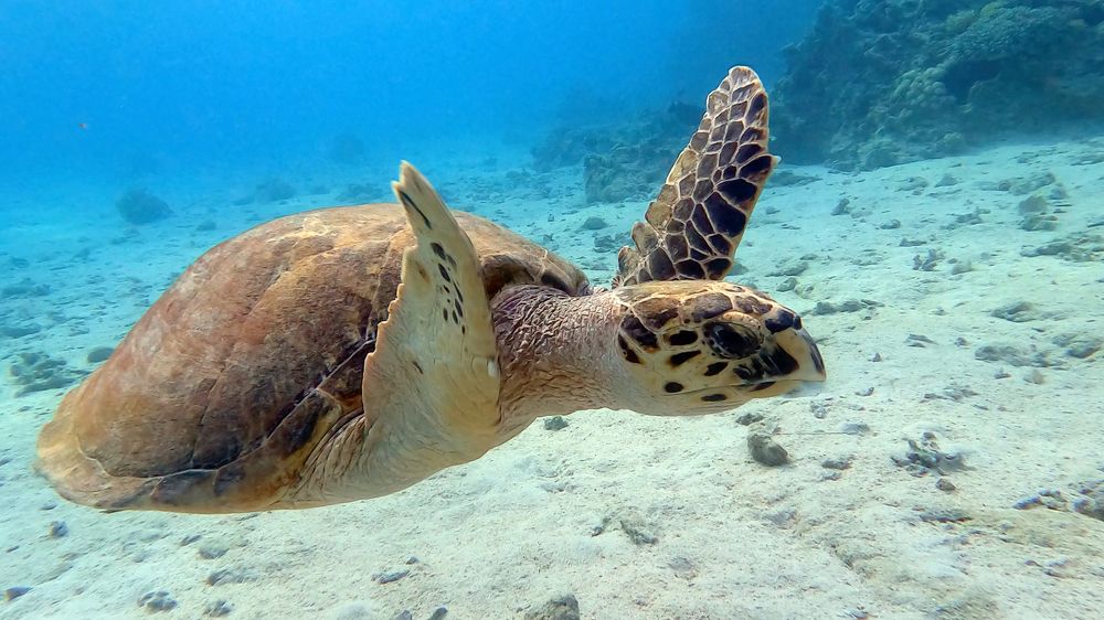 Photograph by Мария Берёзка