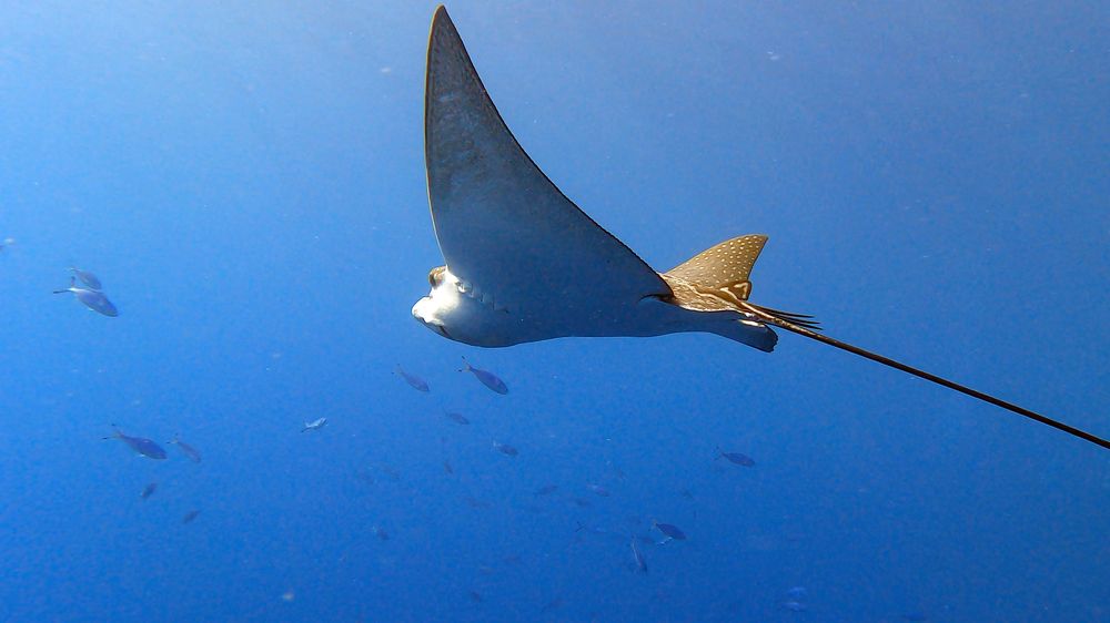 Photograph by Мария Берёзка