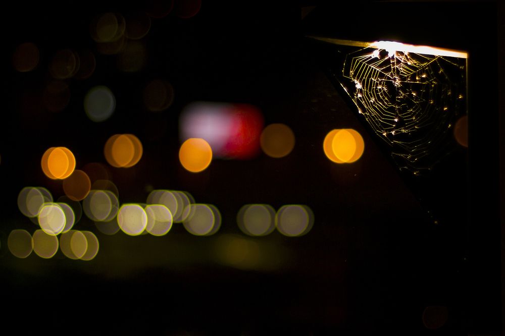 Photograph by Игорь Кутний