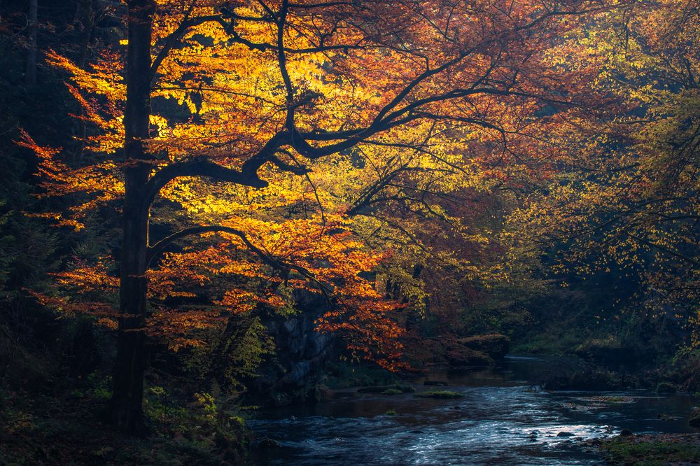 Photograph by Luboš Prchal