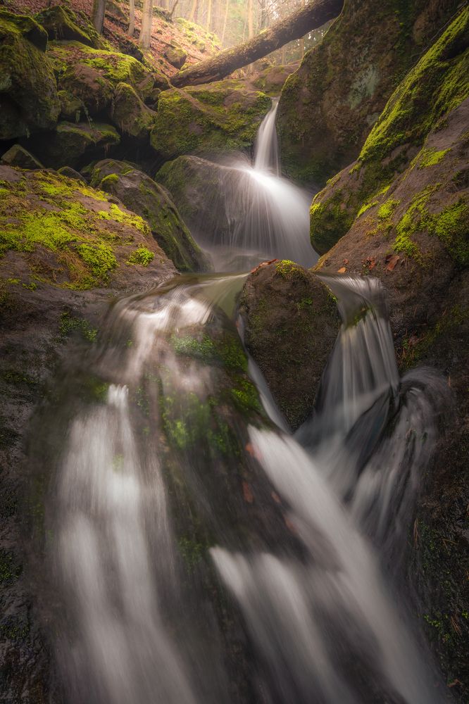 Photograph by Luboš Prchal