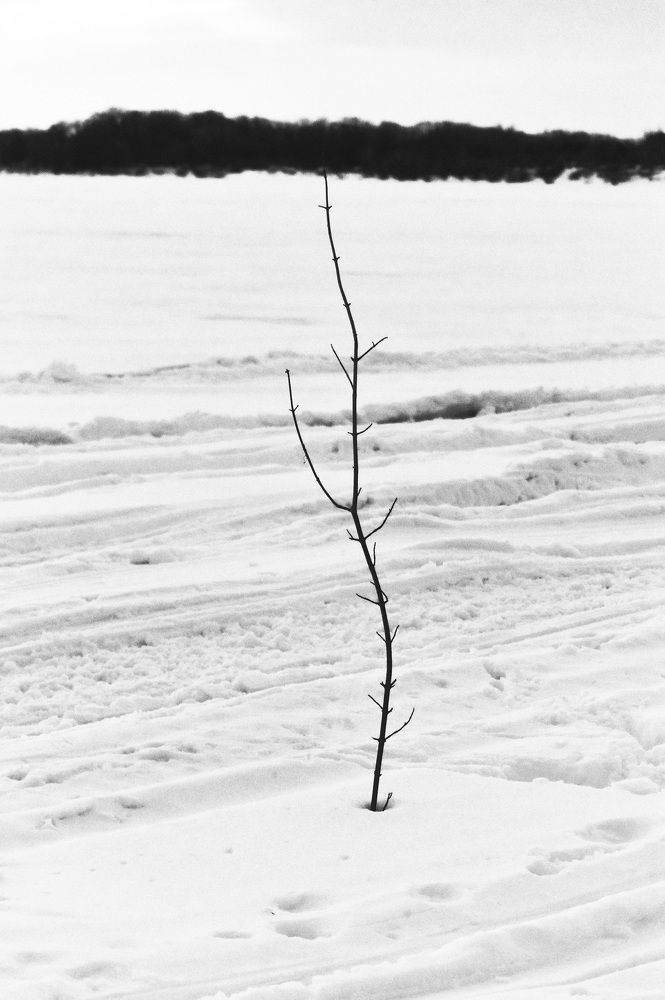 Photograph by Дарья Огородникова