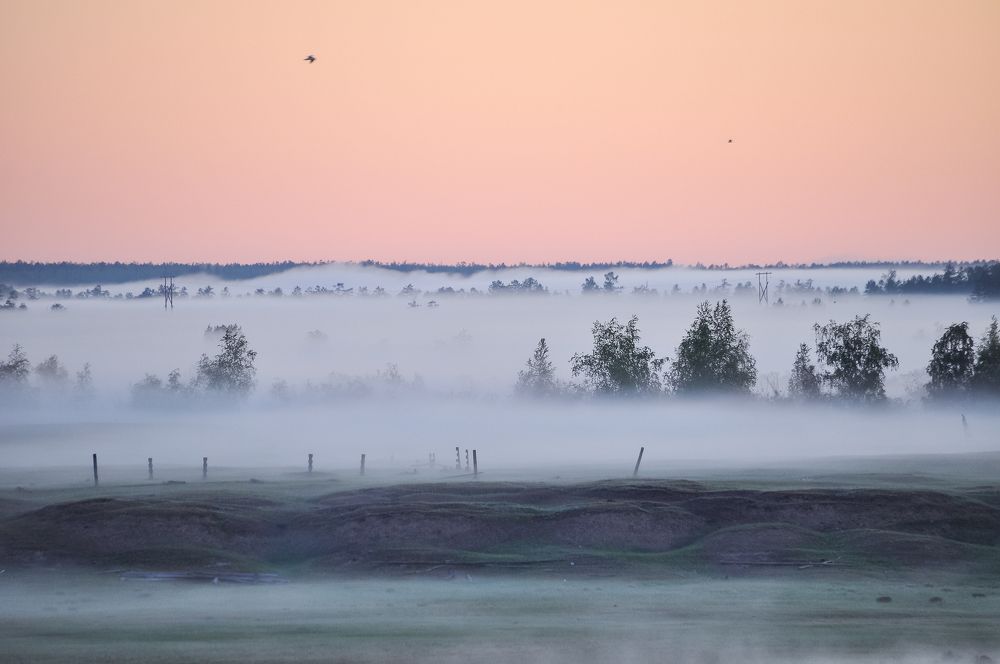Фотография автора Мичийээнэ Барашкова