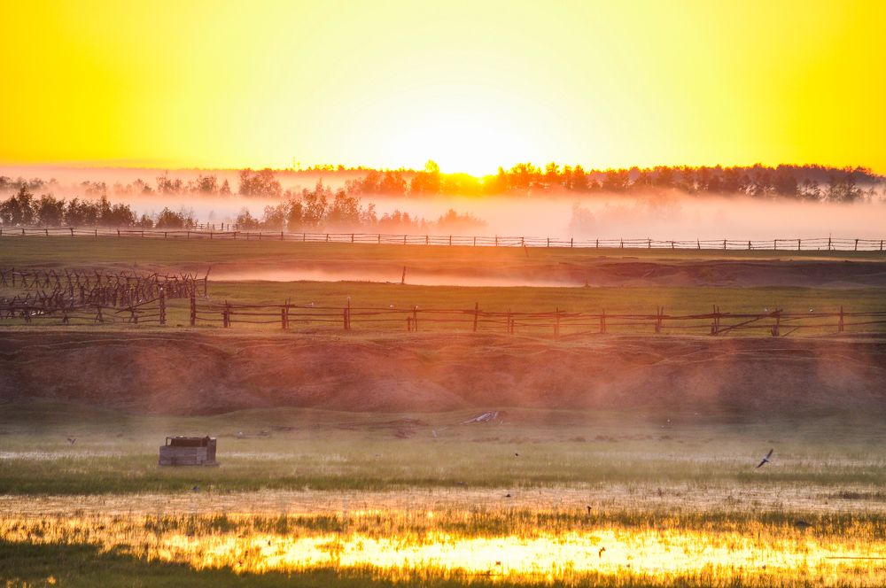 Фотография автора Мичийээнэ Барашкова