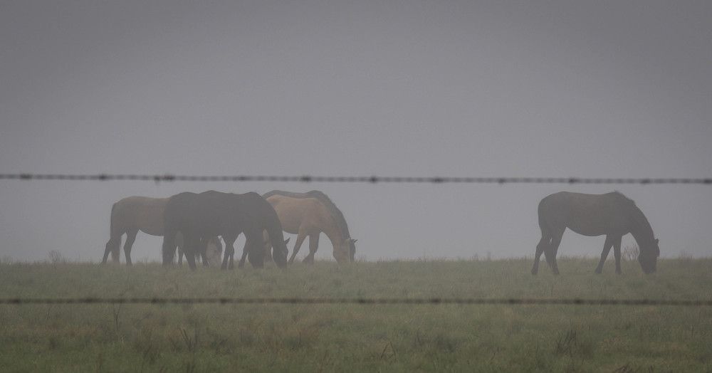 Photograph by Lanie Badenhorst