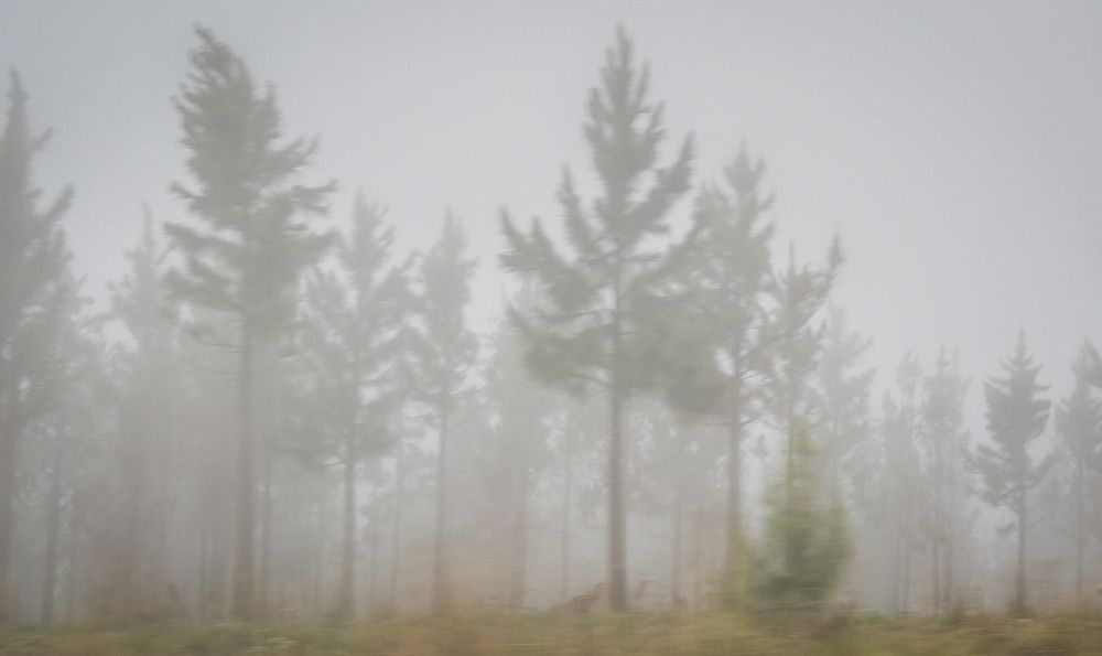 Photograph by Lanie Badenhorst