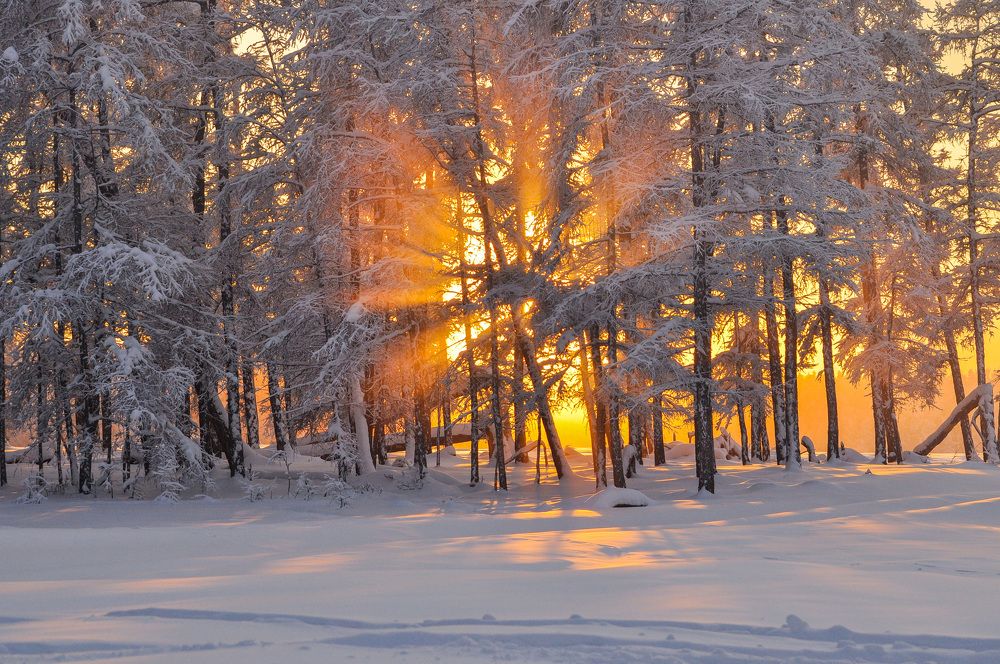 Фотография автора Мичийээнэ Барашкова