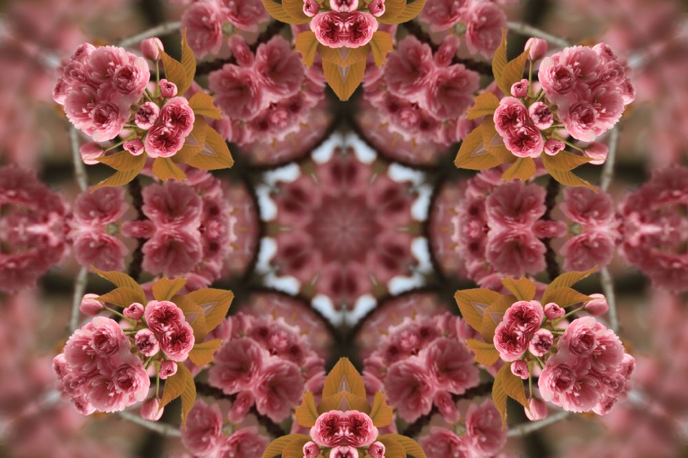 Photograph by Marie G