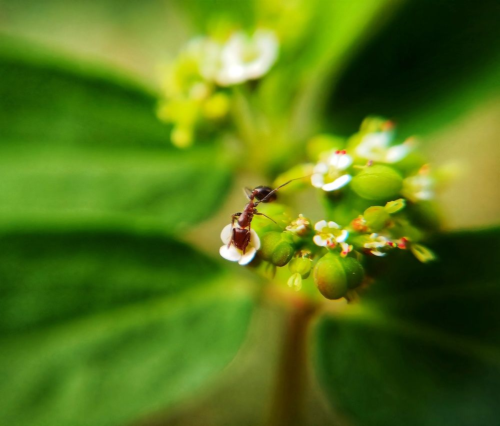 Photograph by Ali Reza Sanaei