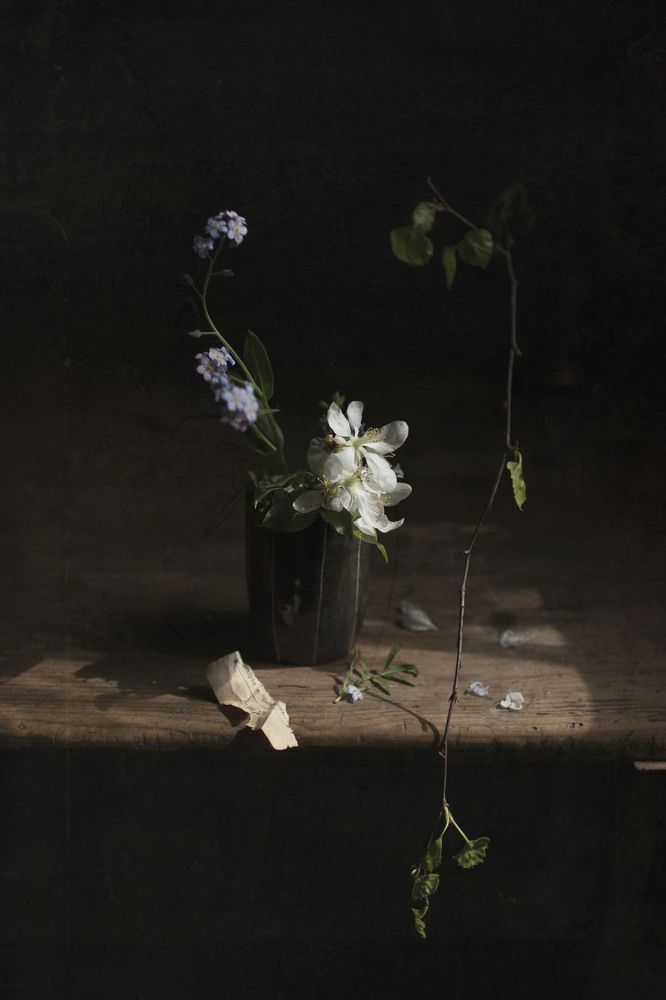 Фотография автора Коршак Елена