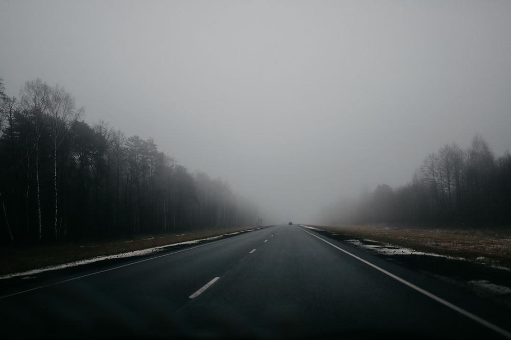 Photograph by Дарья Заводцова