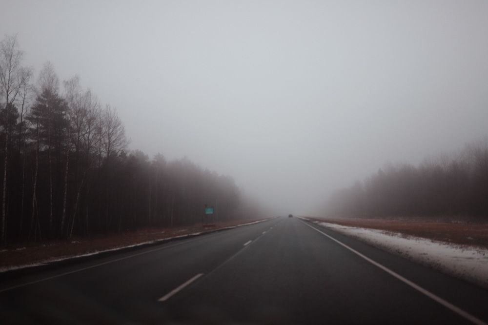 Photograph by Дарья Заводцова