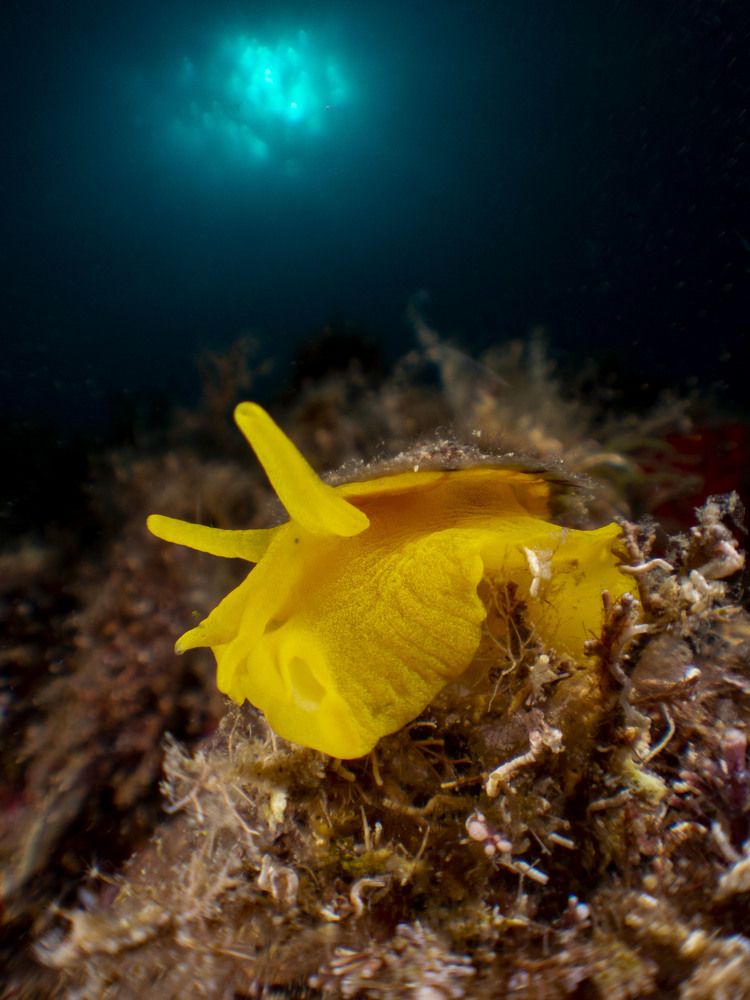 Photograph by Xavi Lopez