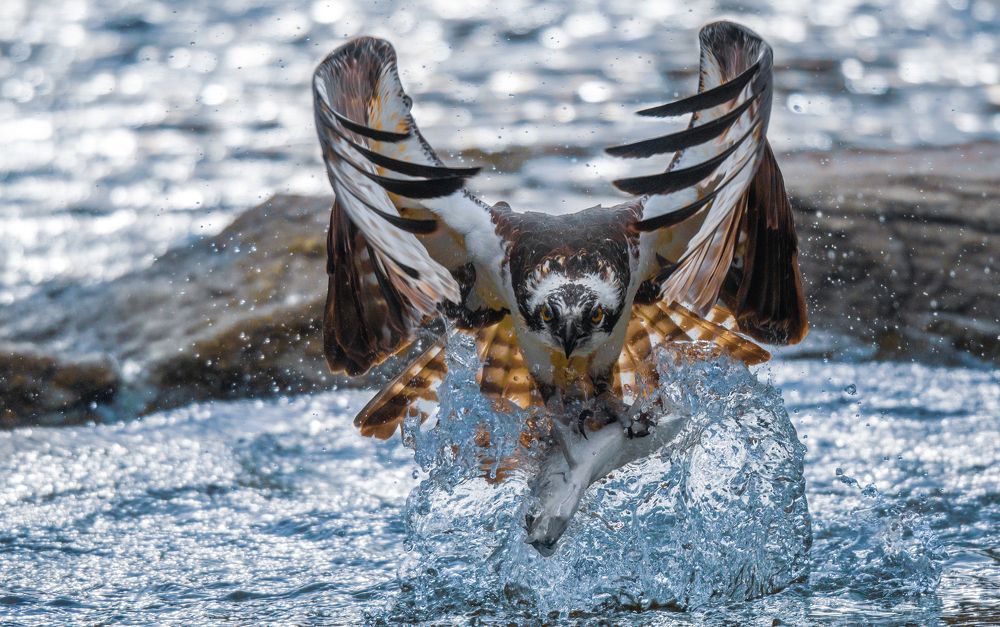 Photograph by George