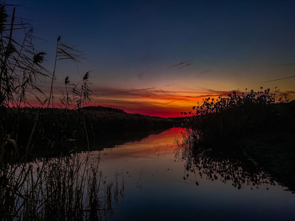 Photograph by Евгений Сальный