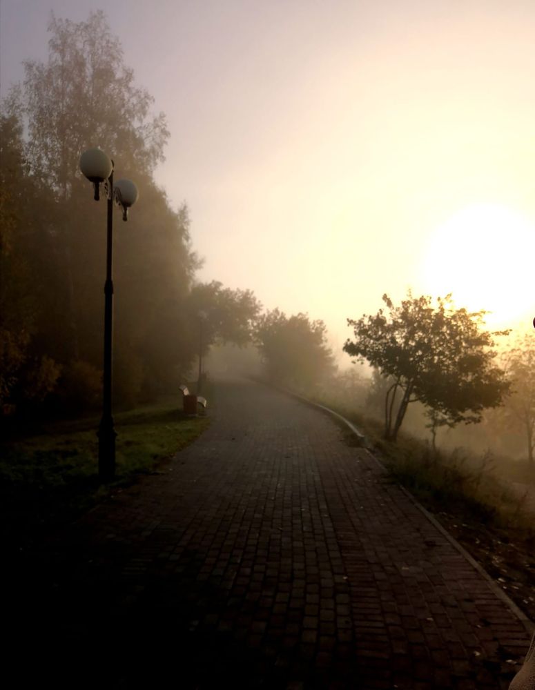 утро туманное