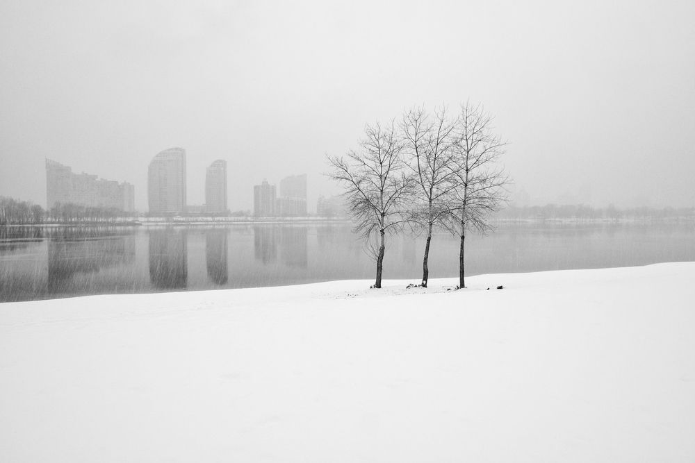 Photograph by Виталий Тимофеев