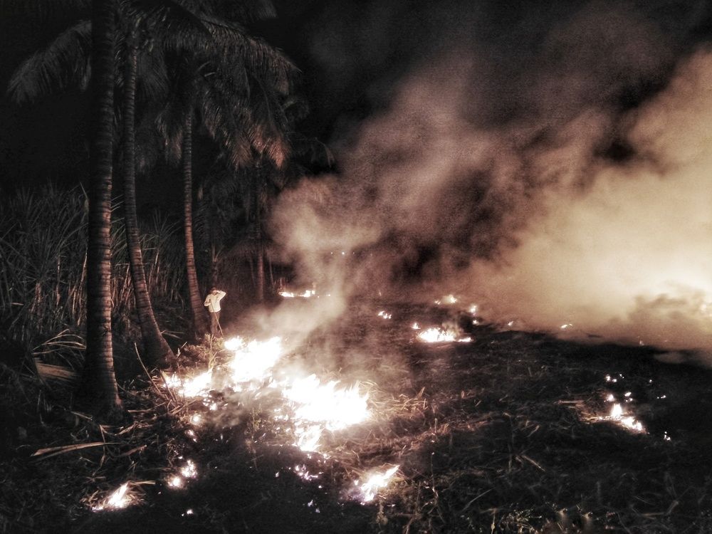 Photo #6782638