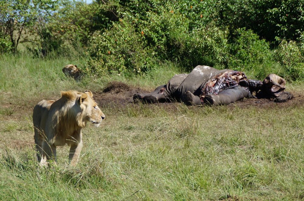 Photograph by Юрий Сычев