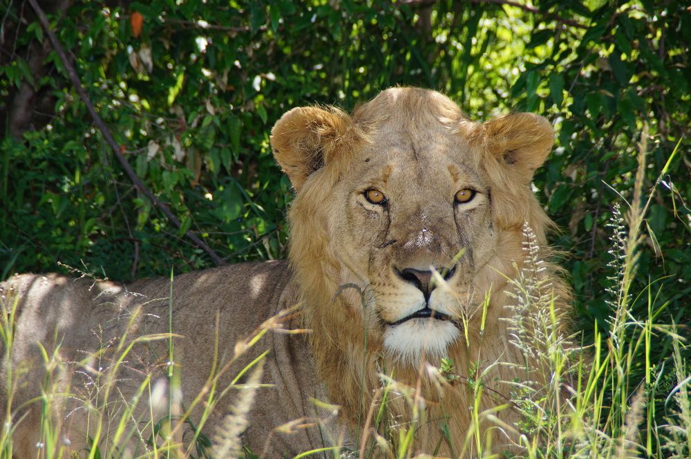 Photograph by Юрий Сычев