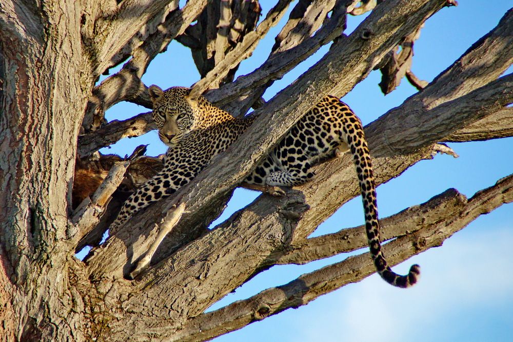 Photograph by Юрий Сычев