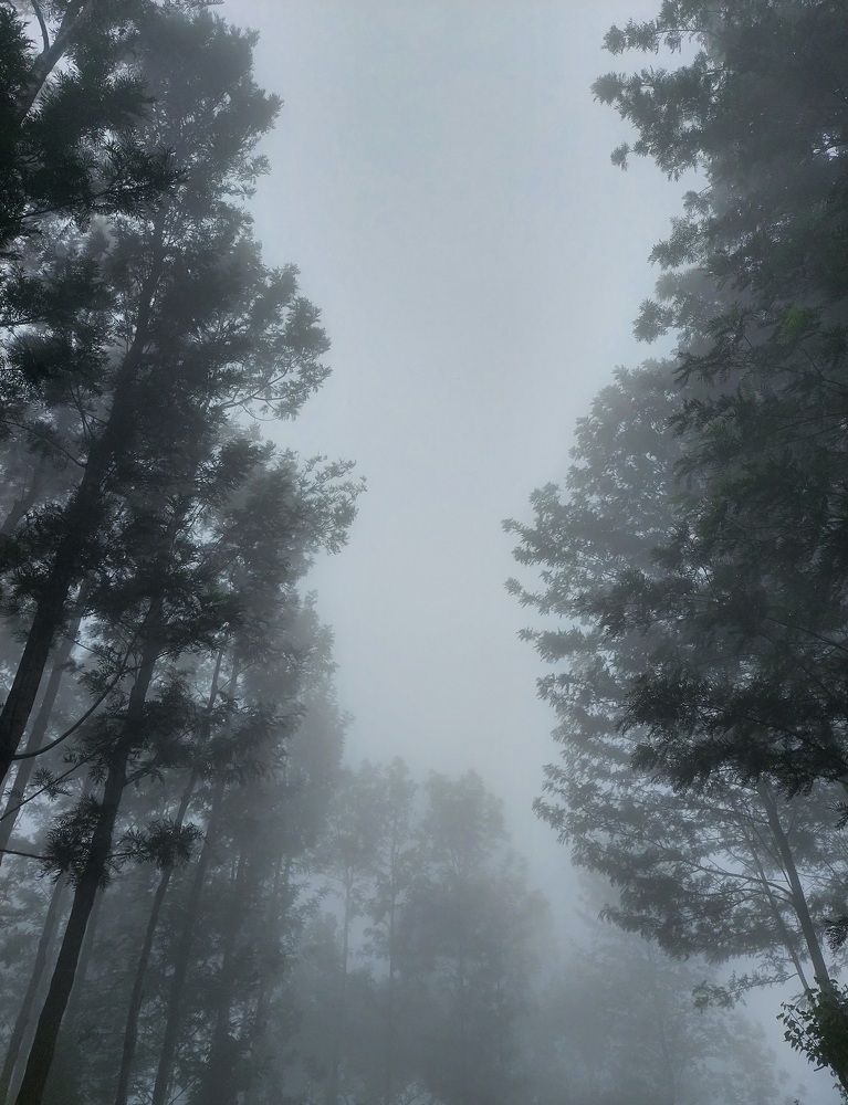 Photograph by Mathew Nishanth