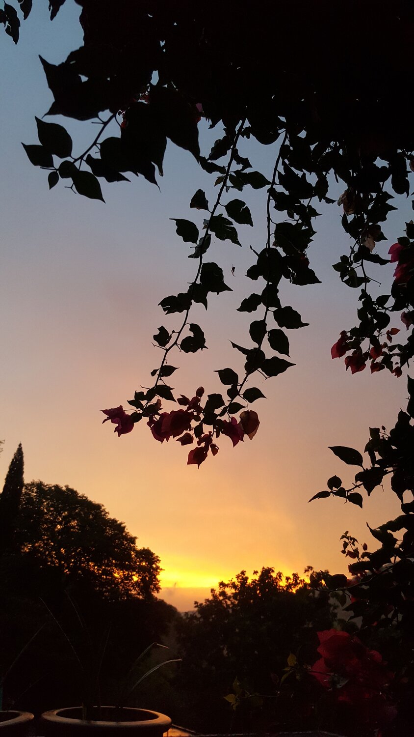 Photo #6782873