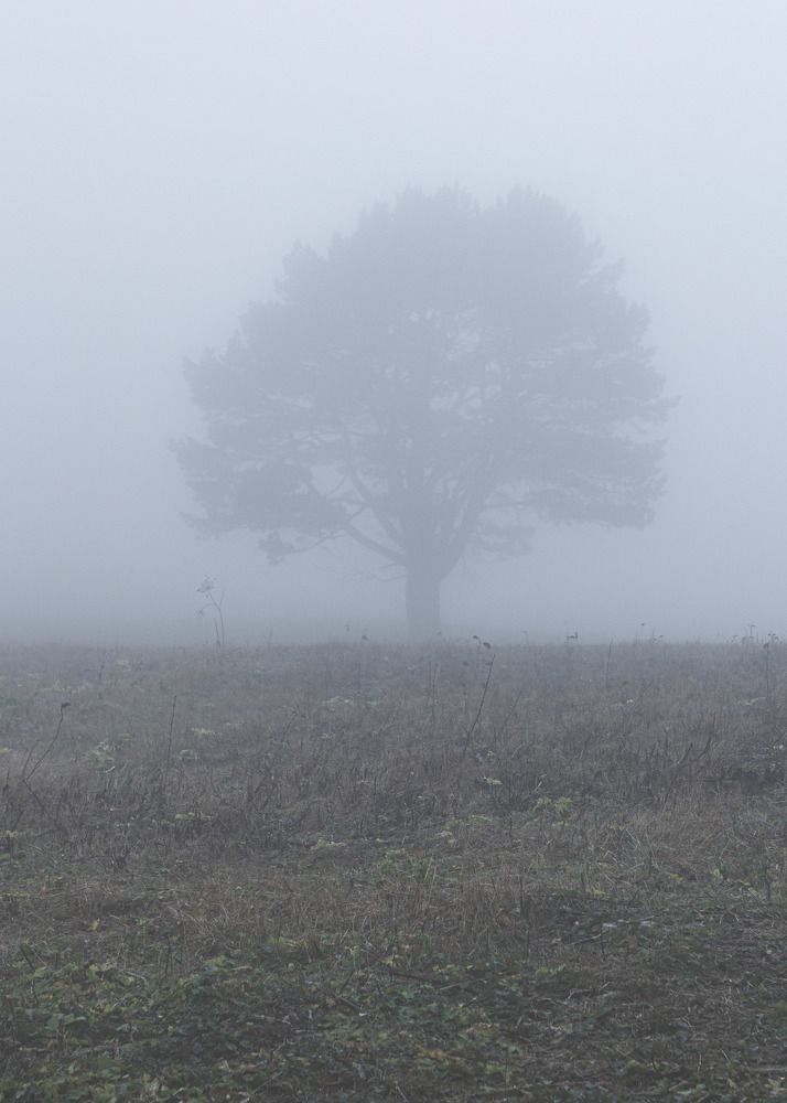 Photograph by Елена Лиханова