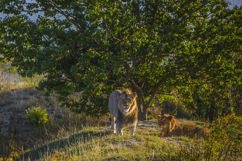 Photograph by Татьяна Саунина