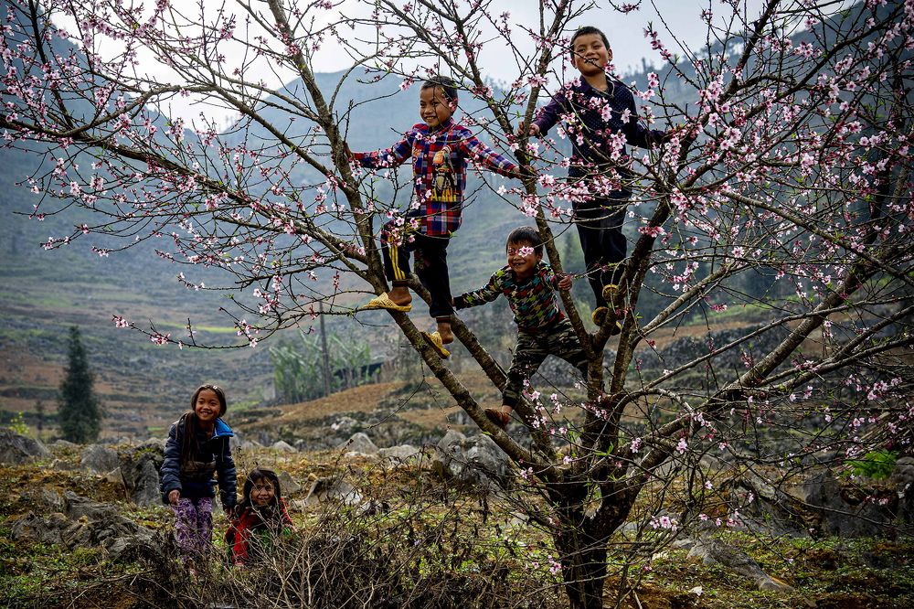 MÙA XUÂN TRÊN BẢN EM