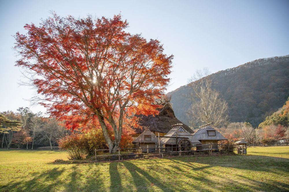 Photograph by Syundyukova Oksana