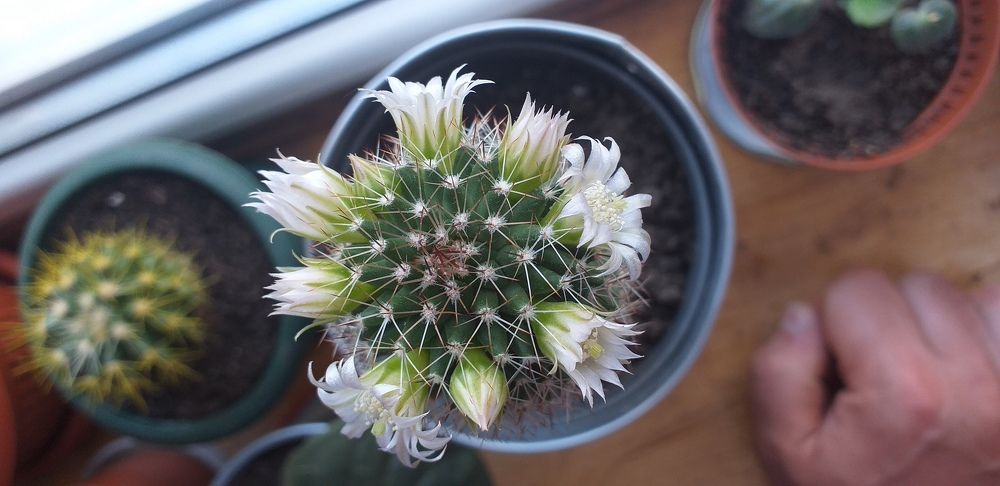 Photo #6783034