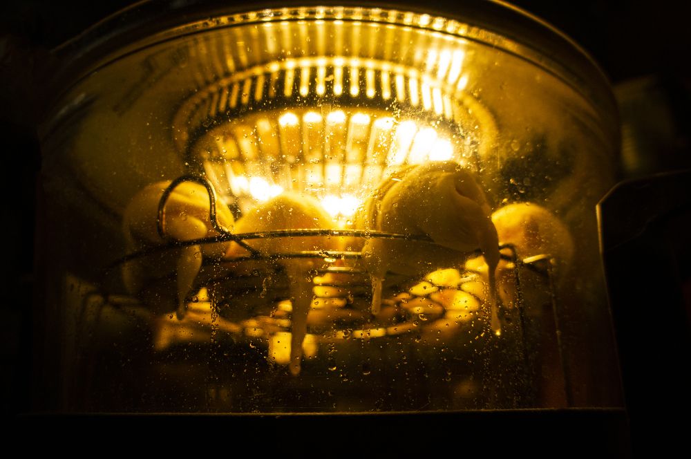 Photograph by Павел Минкевич