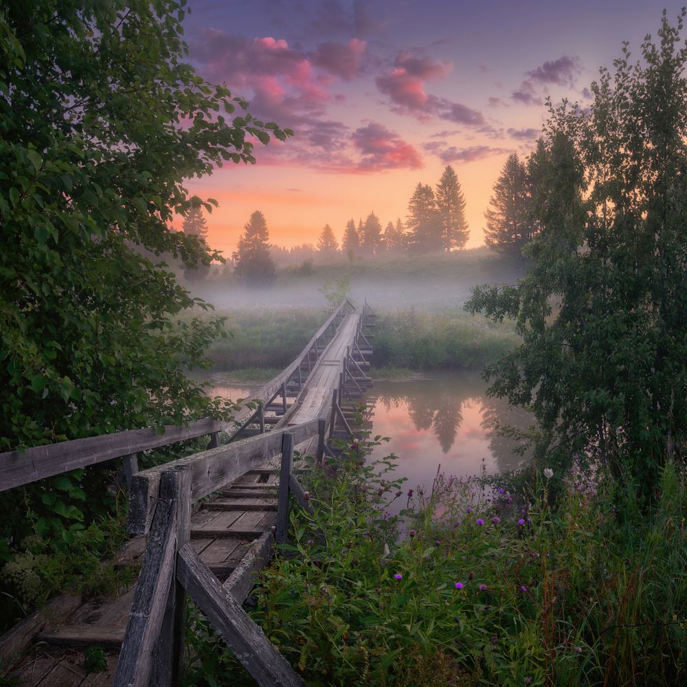 Photograph by Дмитрий Медянцев