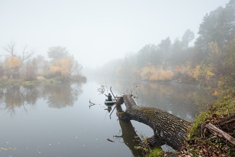 Photograph by Виталий Тимофеев