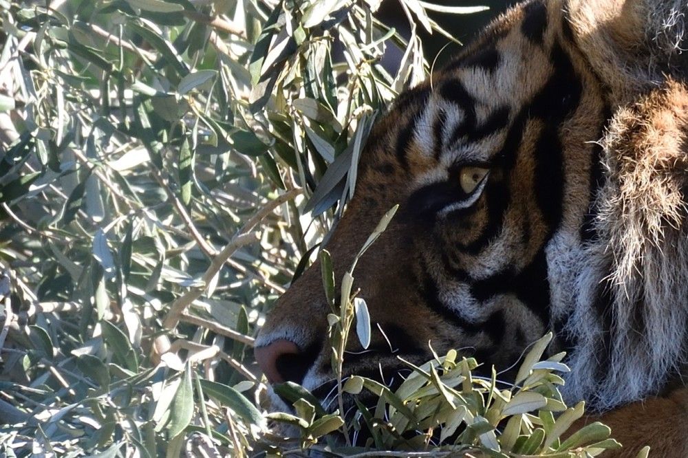 Photograph by Kostas Rammos