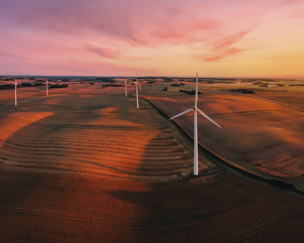 Photograph by Daniel Yelisieiev