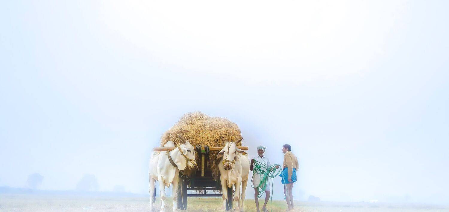 Photo #6783196