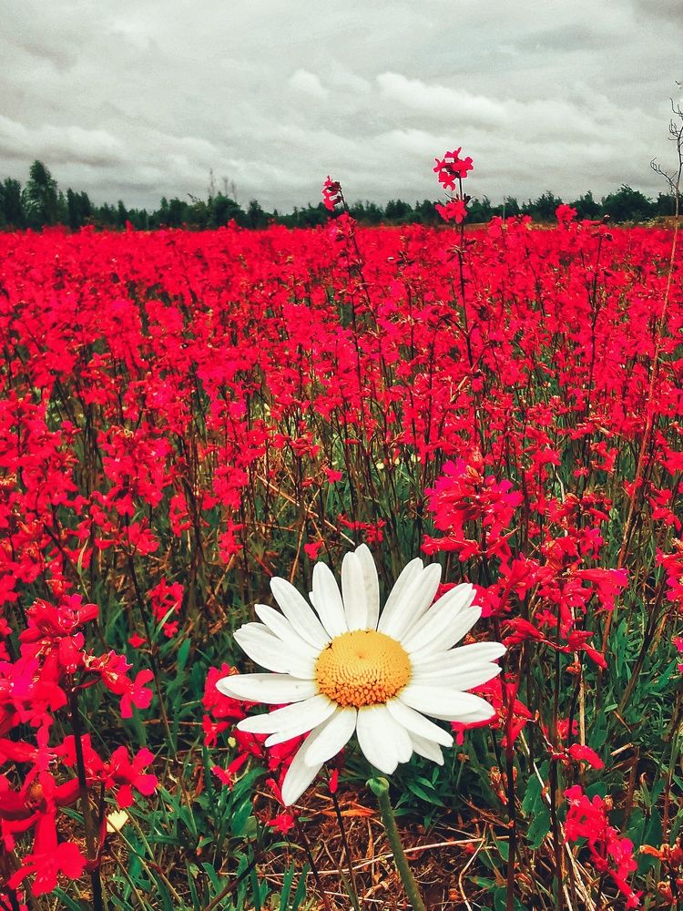 Фотография автора Ринат Абдуллин